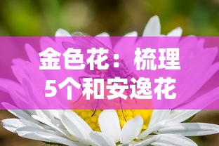 金色花：梳理5个和安逸花一样的平台