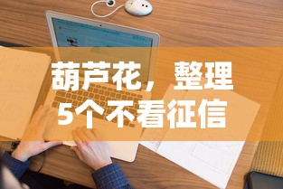 葫芦花，整理5个不看征信借钱的平台100%能借到