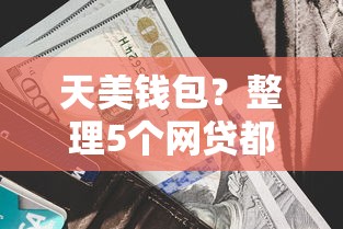 天美钱包？整理5个网贷都正规平台