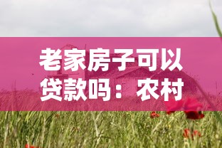 老家房子可以贷款吗：农村自建房能申请抵押贷款吗