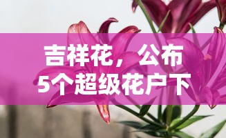 吉祥花，公布5个超级花户下款的口子