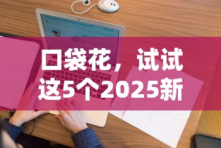 口袋花，试试这5个2025新口子不看征信