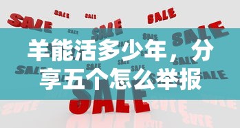 羊能活多少年，分享五个怎么举报网贷平台