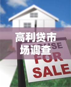 高利贷市场调查，国内五大2025最新16岁能贷款的平台