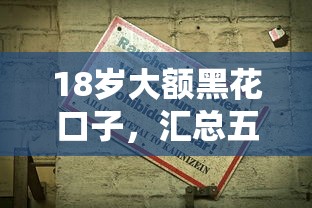 18岁大额黑花口子，汇总五个2025最新最新黑户口子