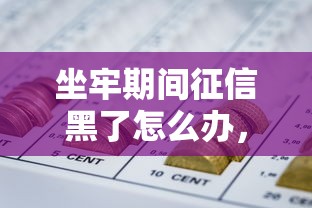 坐牢期间征信黑了怎么办，同城五个2025最新什么网贷是正规平台