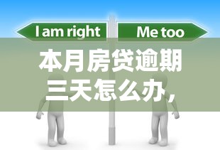 本月房贷逾期三天怎么办，探讨五款2025最新好点的网贷平台