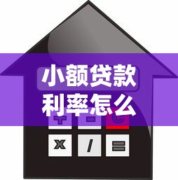 小额贷款利率怎么算：小微贷款的利息如何计算