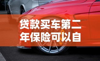 贷款买车第二年保险可以自己买吗：分期购车第二年能自由选保险吗