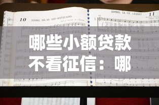 哪些小额贷款不看征信：哪些贷款申请时不查征信记录