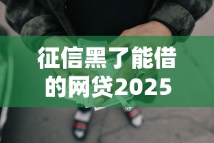 征信黑了能借的网贷2025，归纳5个2025最新通过率高的贷款平台