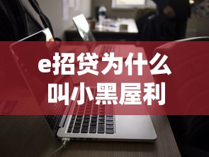 e招贷为什么叫小黑屋利率，例举5个2025最新先息后本的正规贷款平台