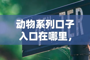 动物系列口子入口在哪里，分享五个2025最新被执行人下款口子