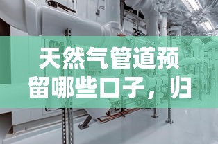 天然气管道预留哪些口子，归纳5个2025最新哪些正规平台可以借钱