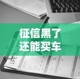 征信黑了还能买车保险吗，介绍五个2025最新黑户都可以通过的贷款平台