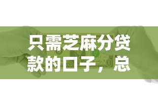 只需芝麻分贷款的口子，总结五个2025最新失信人员下款口子