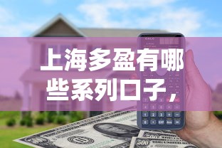 上海多盈有哪些系列口子，梳理5个2025最新微信借钱平台