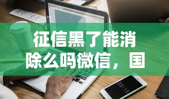 征信黑了能消除么吗微信，国内五大2025最新征信花用什么贷款软件
