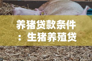 养猪贷款条件：生猪养殖贷款需要满足哪些资质
