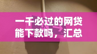 一千必过的网贷能下款吗，汇总五个2025最新2025高炮必过口子秒下款