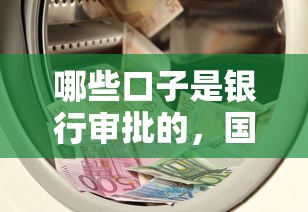 哪些口子是银行审批的，国内五大2025最新民间贷款平台