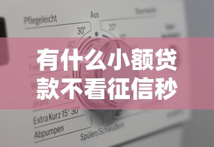 有什么小额贷款不看征信秒过的，梳理5个2025最新年前有什么好下款的贷款平台