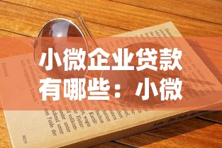 小微企业贷款有哪些：小微企业如何申请融资支持
