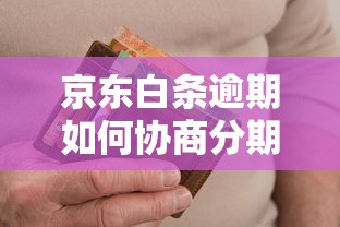 京东白条逾期如何协商分期，国内五大2025最新全部平台都拒还能下款的平台