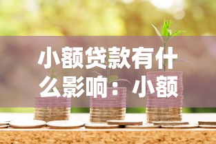 小额贷款有什么影响：小额借贷对经济有何利弊