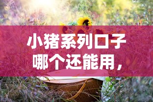 小猪系列口子哪个还能用，阐述5家2025最新类似葫芦花借款的平台