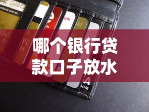 哪个银行贷款口子放水，五大2025最新可以预支500元的平台