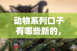 动物系列口子有哪些新的，介绍五个2025最新汽车抵押贷款平台正规