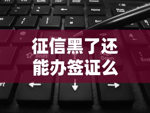 征信黑了还能办签证么吗，总结五个2025最新夜间能秒过下款的口子