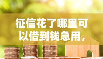 征信花了哪里可以借到钱急用，整理五个2025最新黑户公积金贷款口子