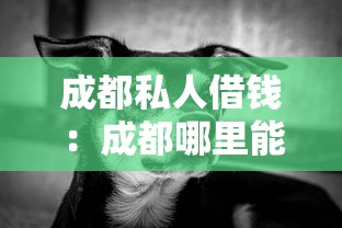 成都私人借钱：成都哪里能快速借到钱