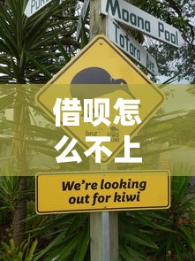 借呗怎么不上征信了，整合5个2025最新正规的网贷平台