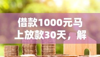 借款1000元马上放款30天，解答五家2025最新花户黑户秒下的口子