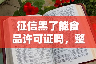 征信黑了能食品许可证吗，整理五个2025最新网贷最好的平台