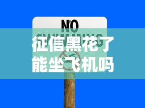 征信黑花了能坐飞机吗，总结五个2025最新正规安全的贷款平台