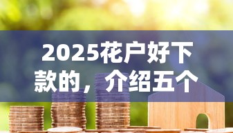 2025花户好下款的，介绍五个2025最新平台可以贷款