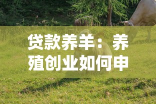 贷款养羊：养殖创业如何申请畜牧业贷款