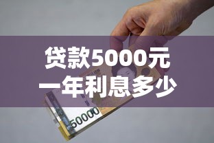 贷款5000元一年利息多少钱：5000元贷款年利率如何计算