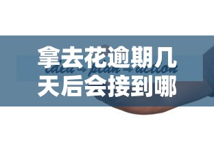 拿去花逾期几天后会接到哪些电话通知，同城五个2025最新2025好下款的口子