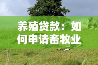 养殖贷款：如何申请畜牧业资金支持