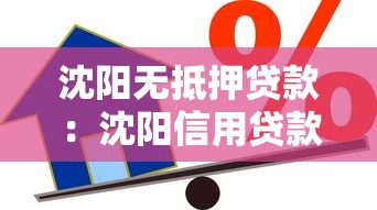 沈阳无抵押贷款：沈阳信用贷款有哪些潜在风险需警惕