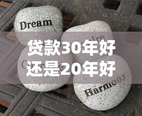 贷款30年好还是20年好：房贷选20年还是30年更划算
