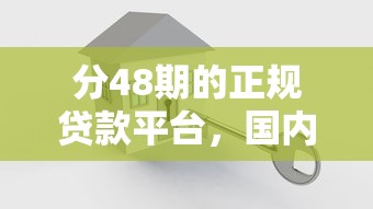 分48期的正规贷款平台，国内五大2025最新贷款大平台