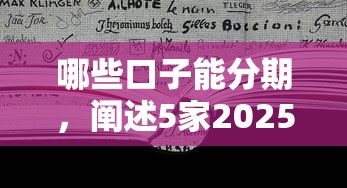 哪些口子能分期，阐述5家2025最新个人借钱平台
