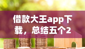借款大王app下载，总结五个2025最新黑花户下款口子
