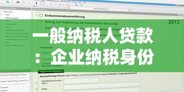 一般纳税人贷款：企业纳税身份如何影响贷款申请条件